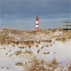 Ferienhaus auf Amrum Leuchtturm